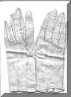 gloves.jpg (107164 bytes)
